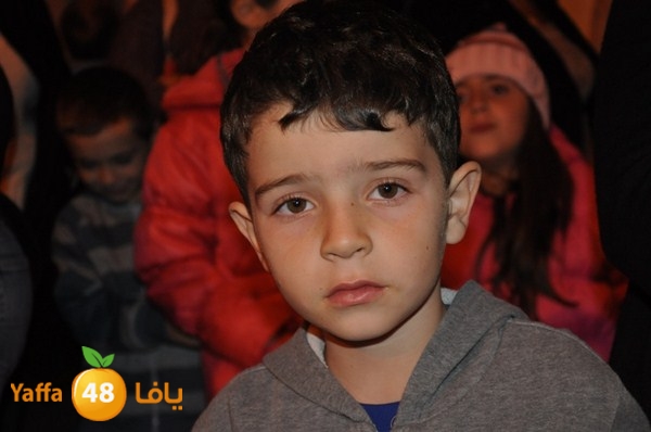 tree light 1208 (101).JPG